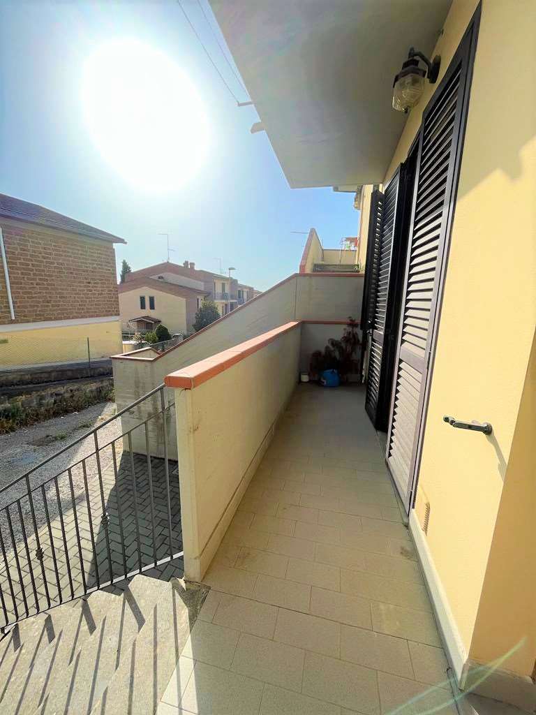 imm_10099-20230724172301-1024