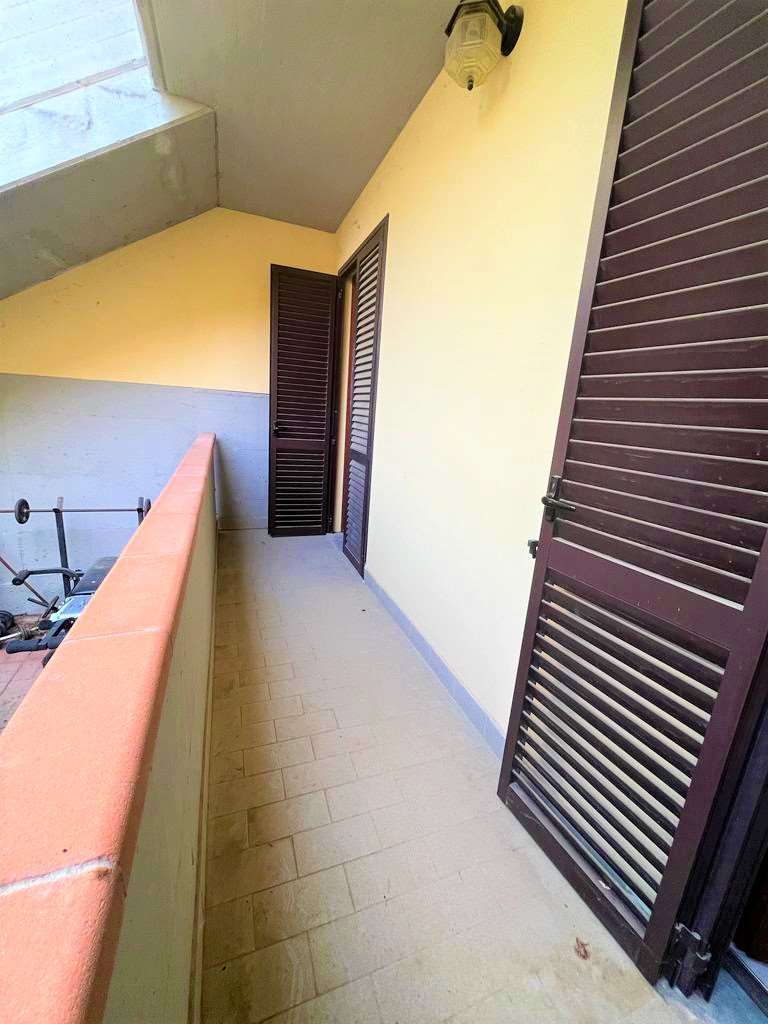 imm_10100-20230724172301-1024