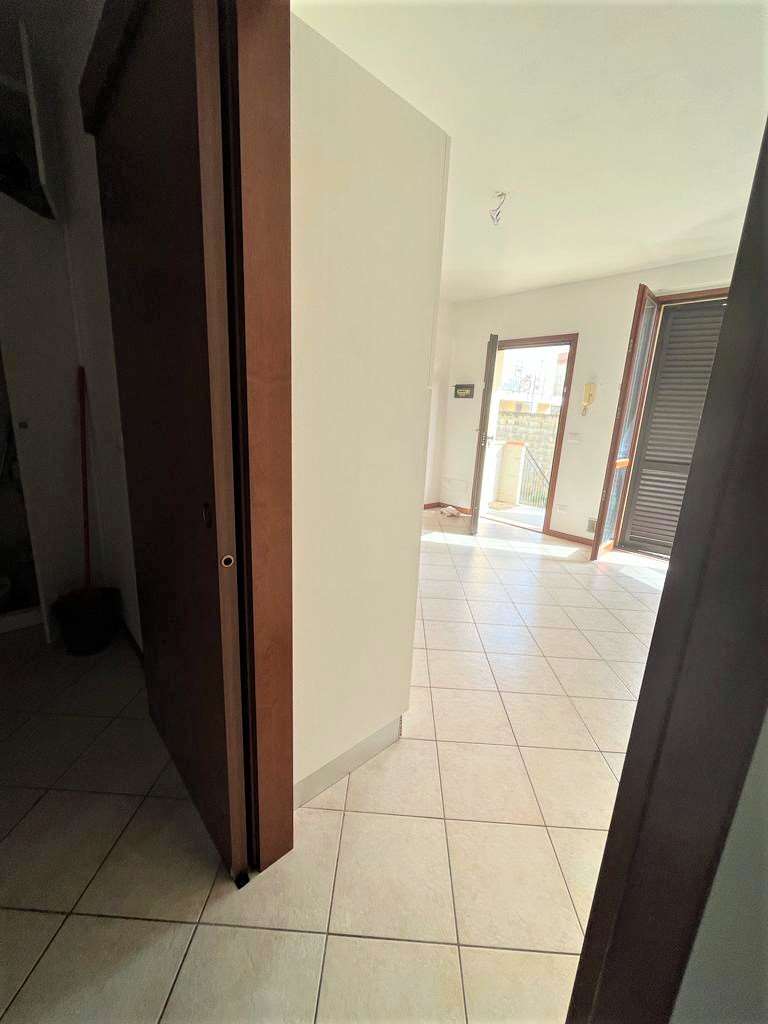 imm_10102-20230724172328-1024