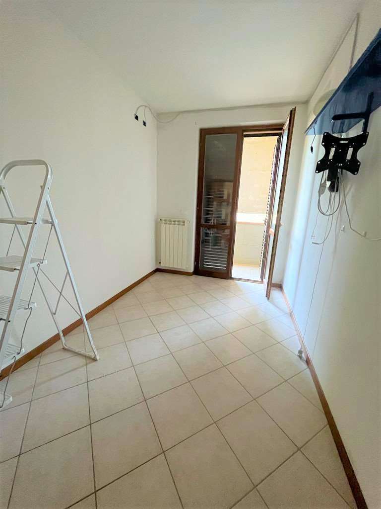 imm_10106-20230724172407-1024