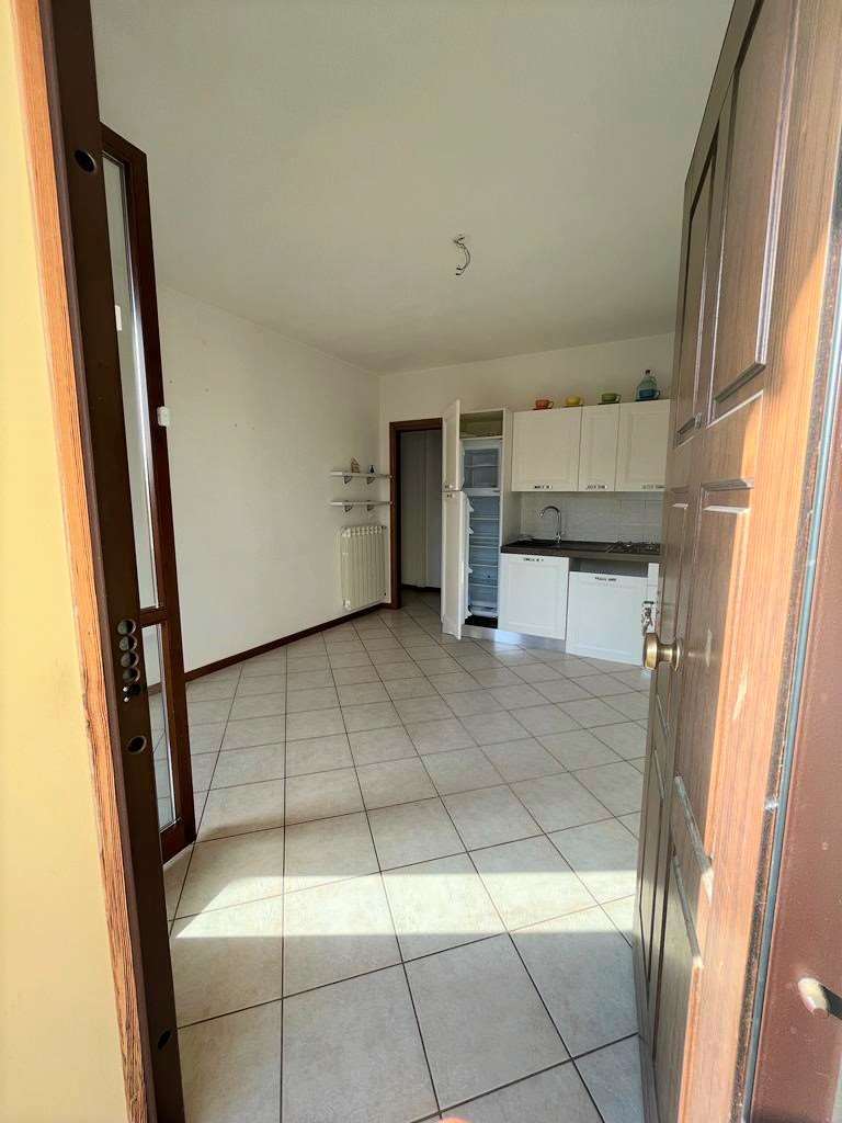 imm_10114-20230724172423-1024