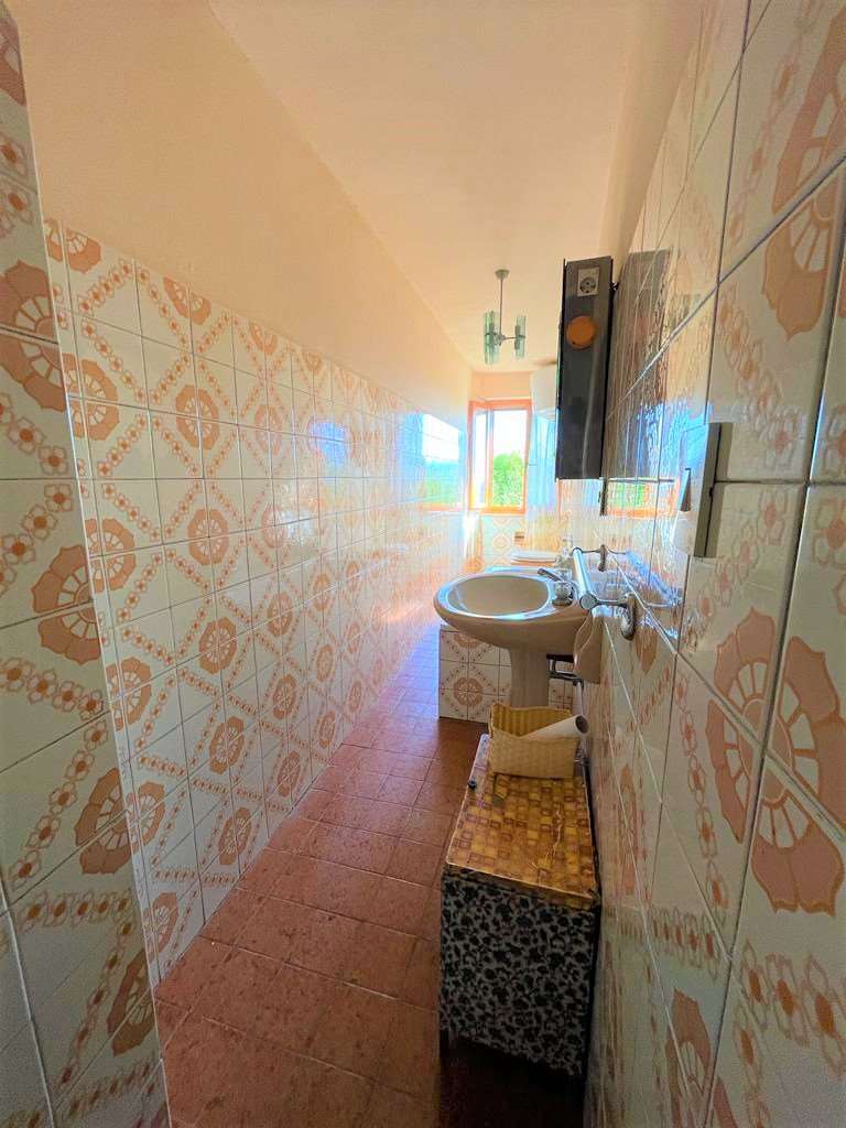 imm_10293-20230908112452-1024