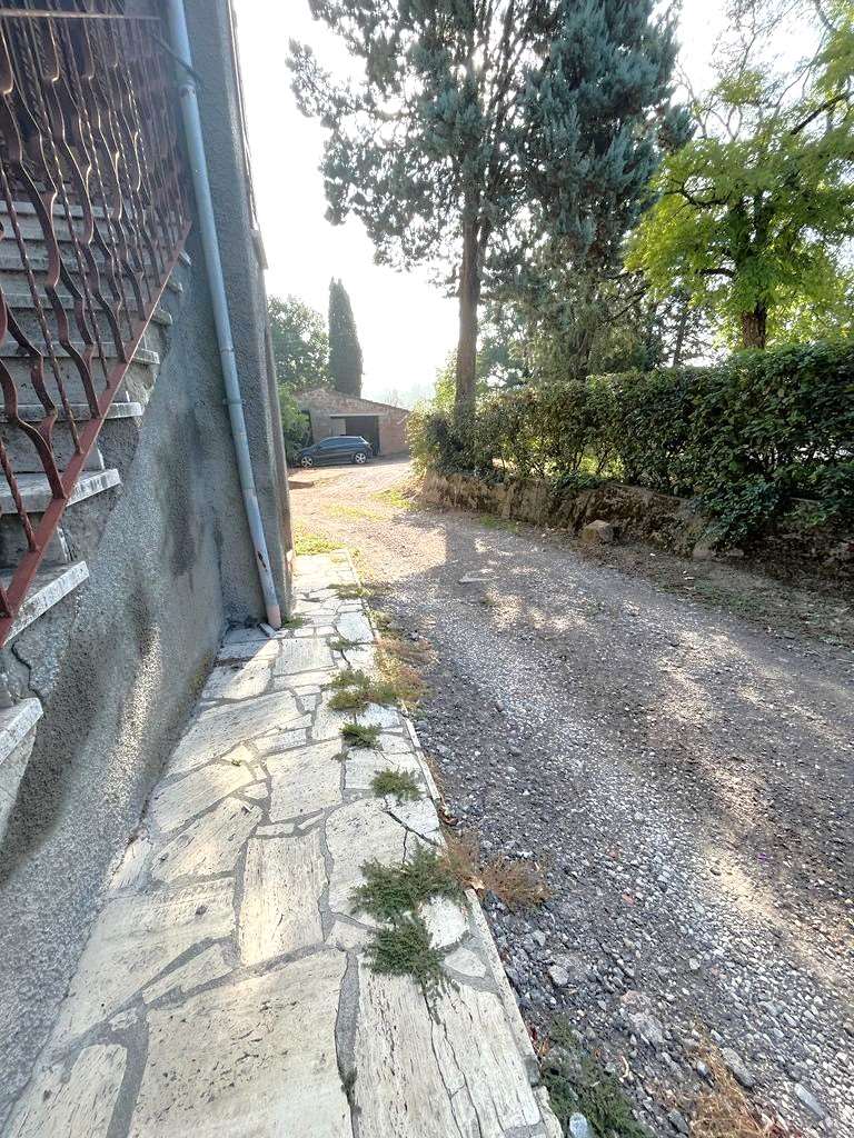 imm_10549-20231025182735-1024