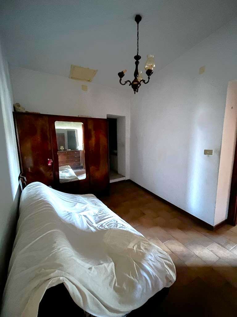 imm_10551-20231025182735-1024