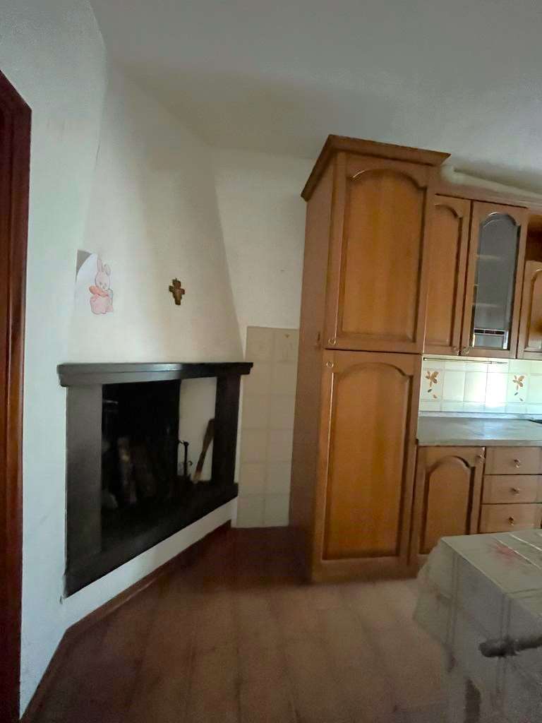 imm_10556-20231025183058-1024