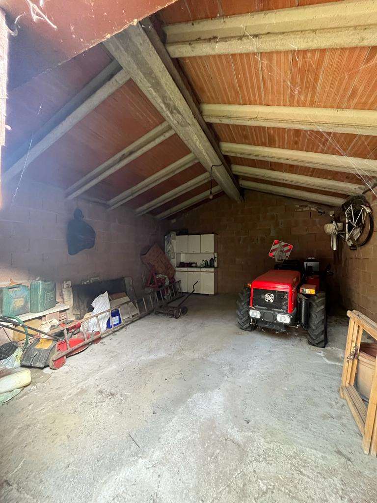 imm_10576-20231025182741-1024