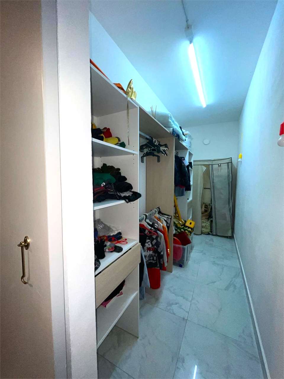 imm_11039-20240203085000-1280