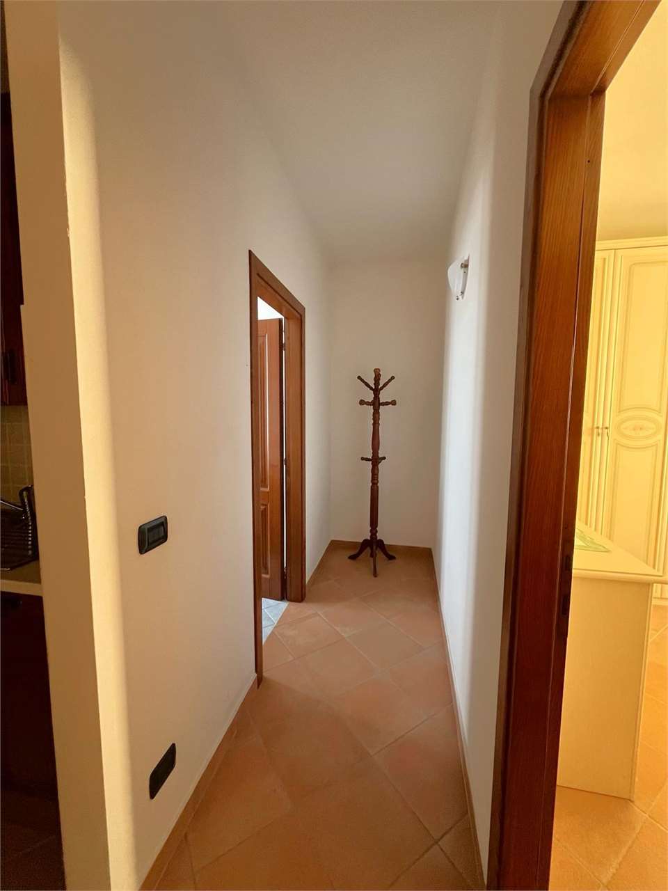 imm_11439-20240415084743-1280
