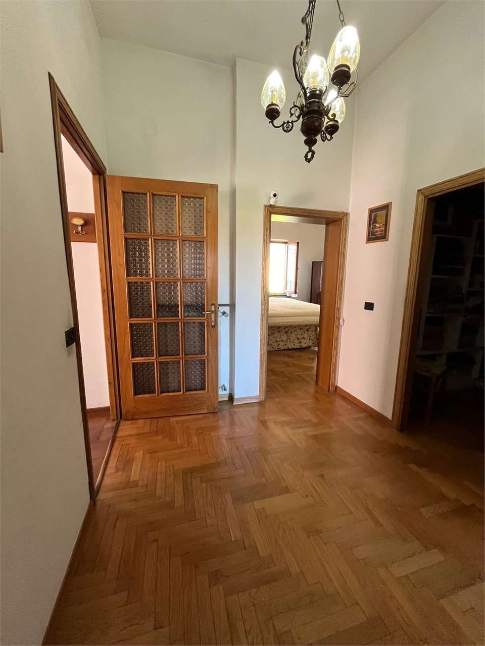 imm_11934-20240919112853-1280