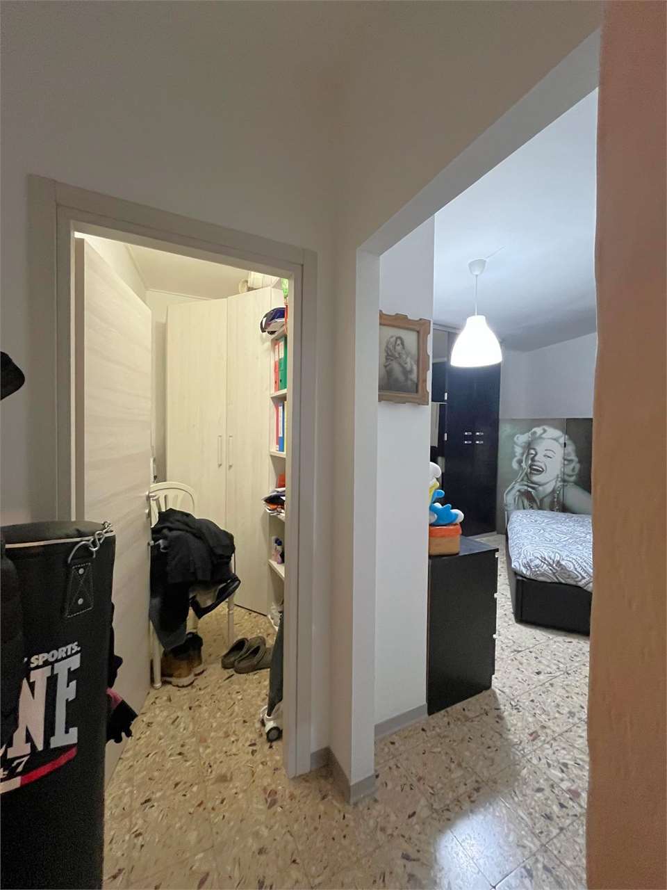 imm_12535-20250207111017-1280