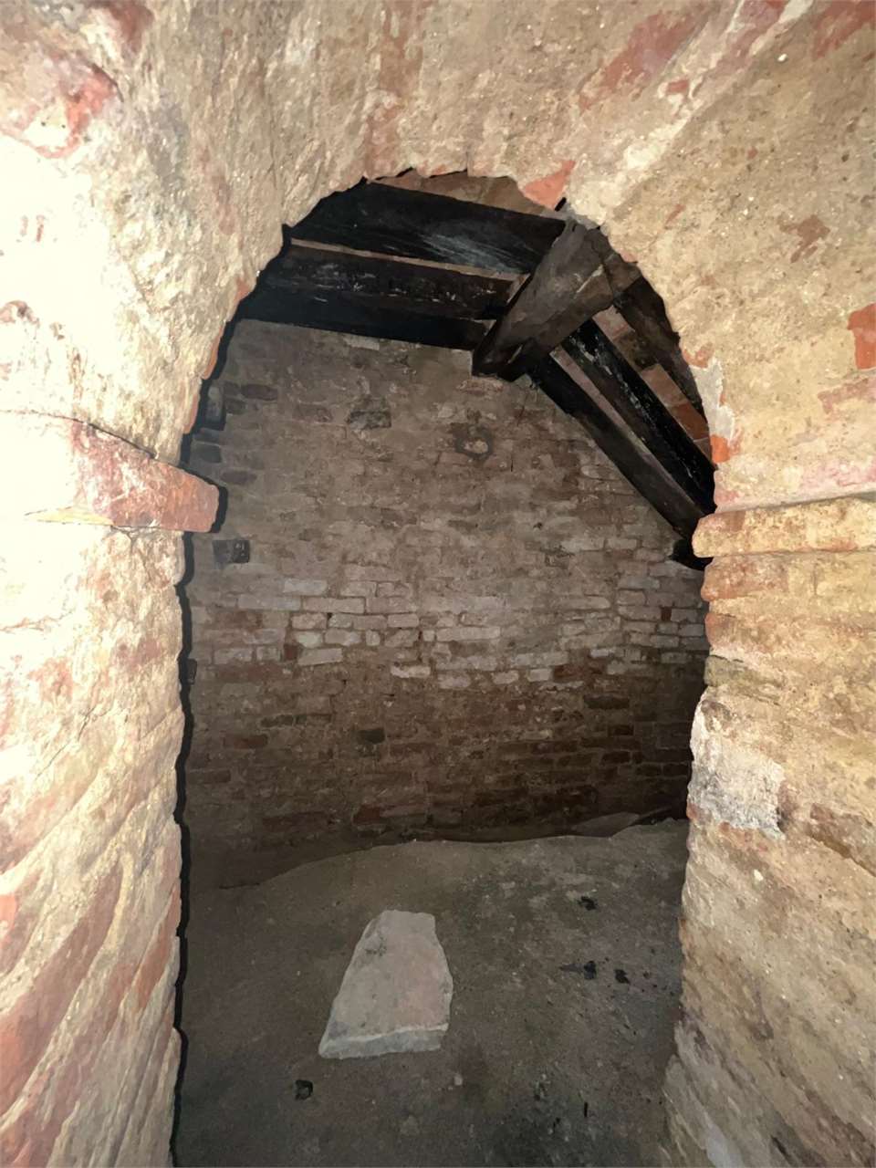 imm_12570-20250213130517-1280