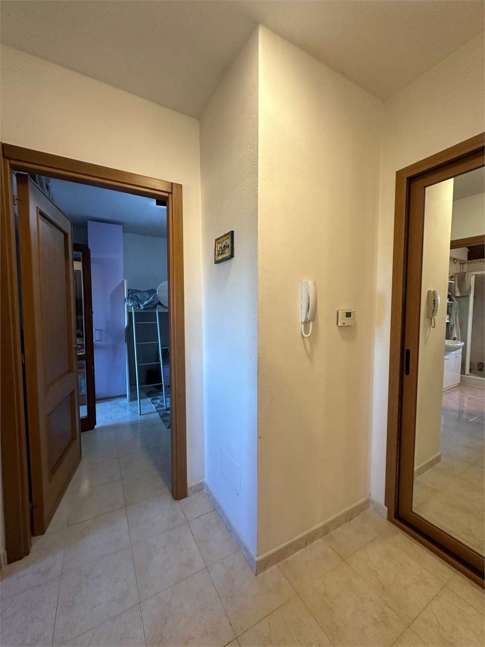 imm_14500-20251115101136-1280