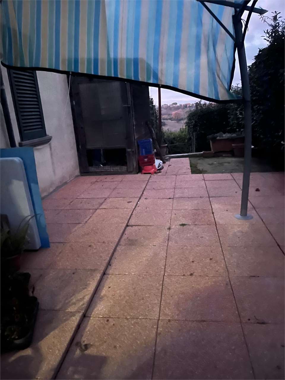 imm_14743-20260214113158-1280