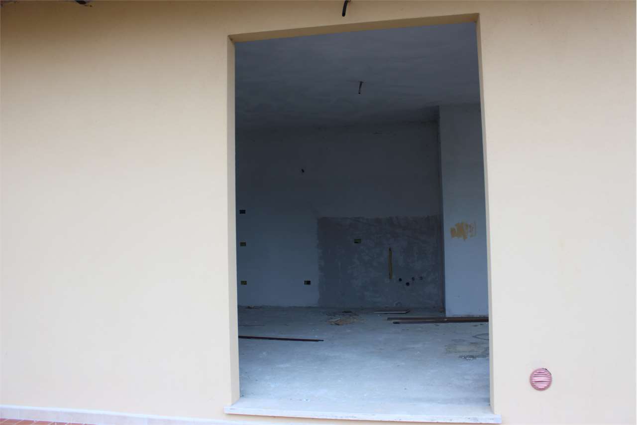 imm_2395-1280-