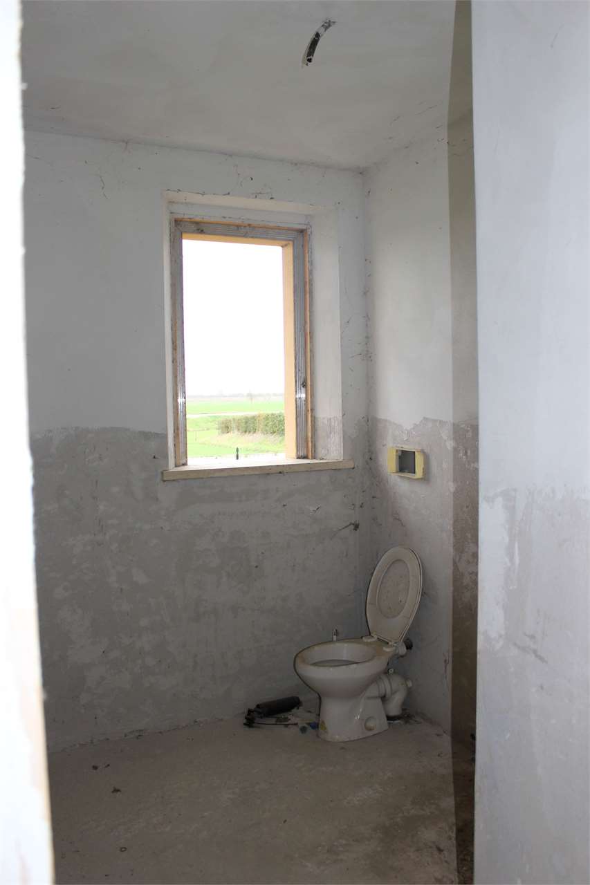 imm_2397-1280