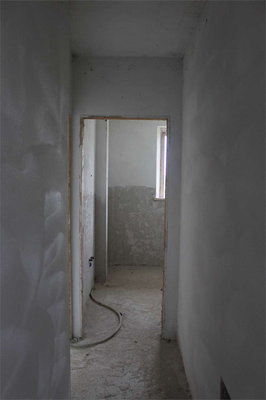 imm_2398-1280
