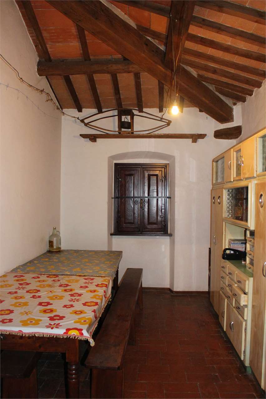 imm_2582-1280