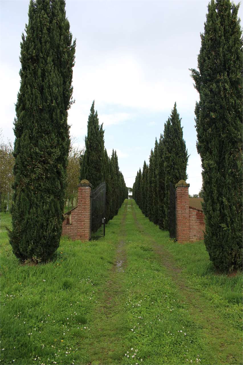 imm_2591-1280