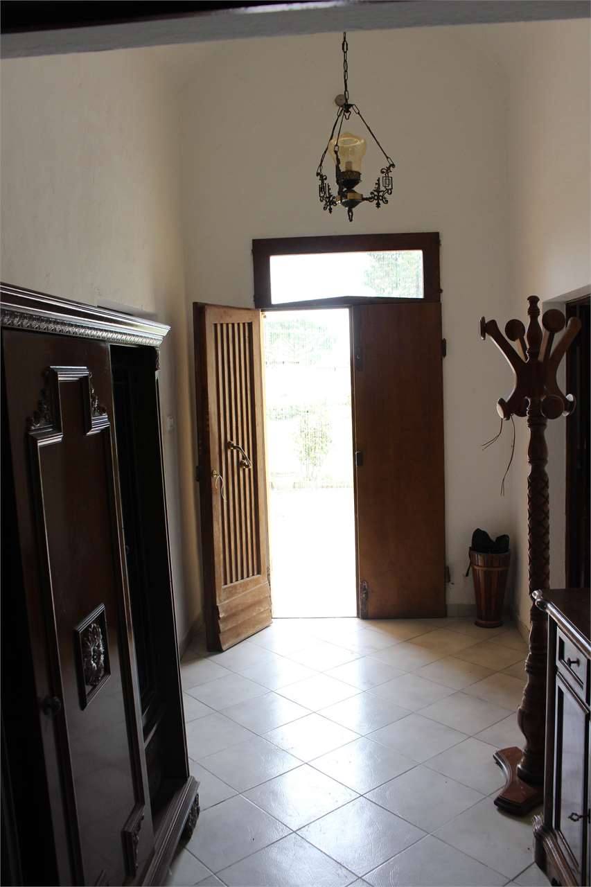 imm_2662-1280