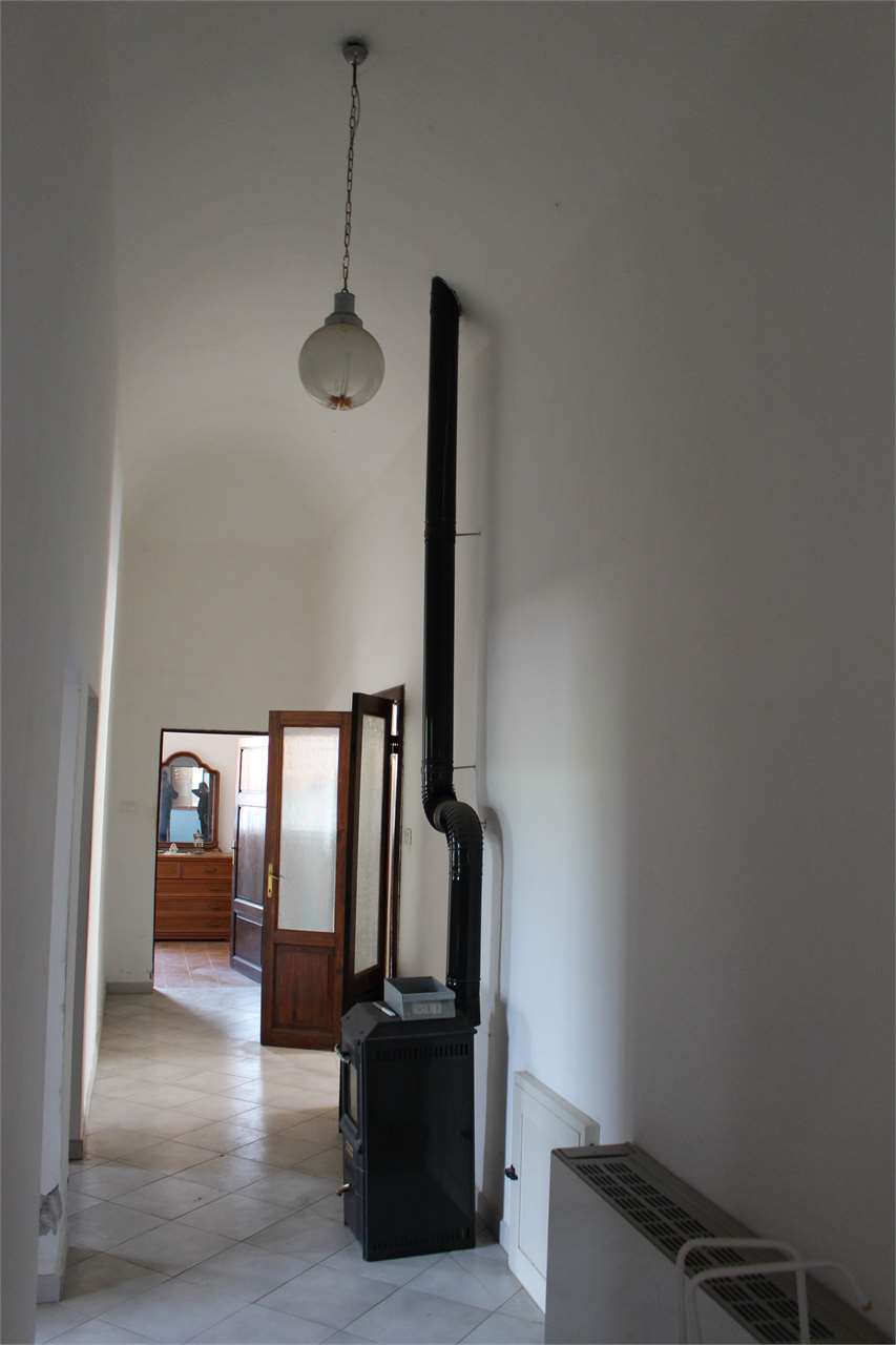 imm_2666-1280