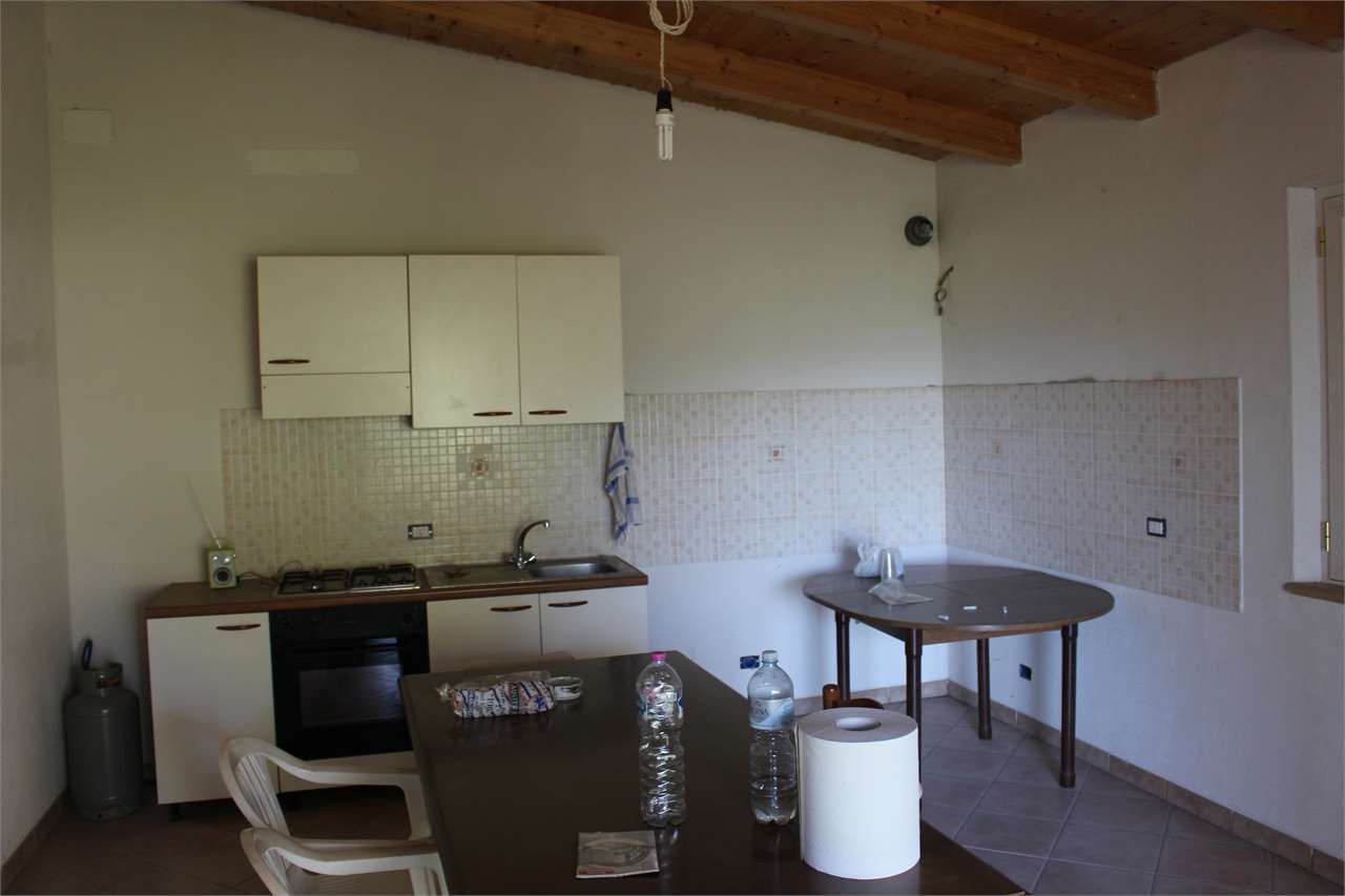imm_3737-1280-