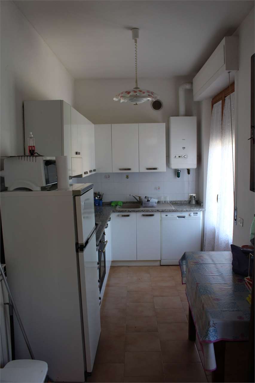 imm_4365-1280