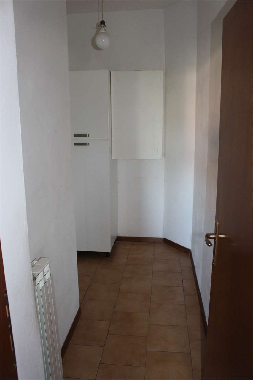 imm_4370-1280