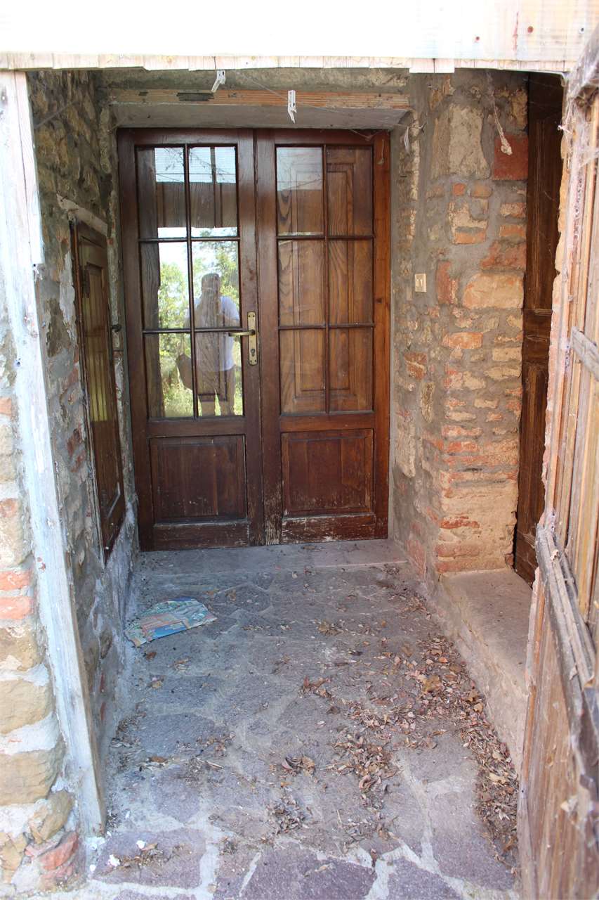 imm_4666-1280