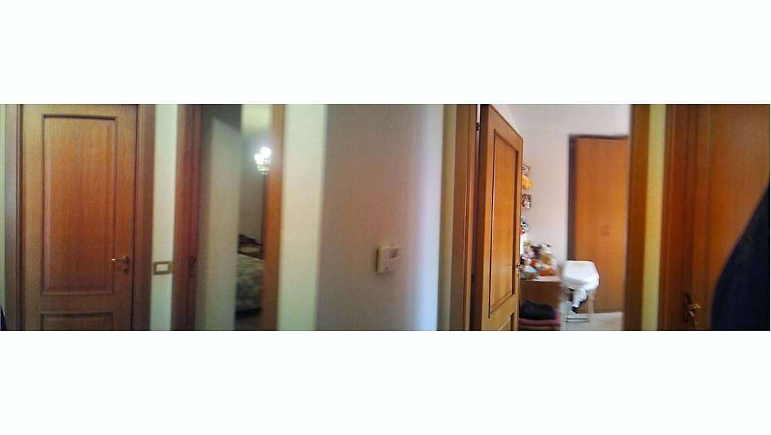 imm_646-1112-