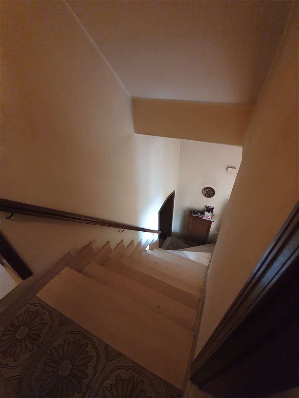 imm_6674-1280