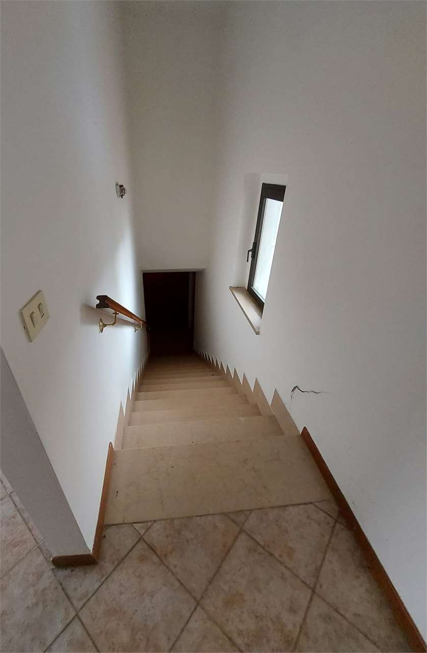 imm_7424-1280