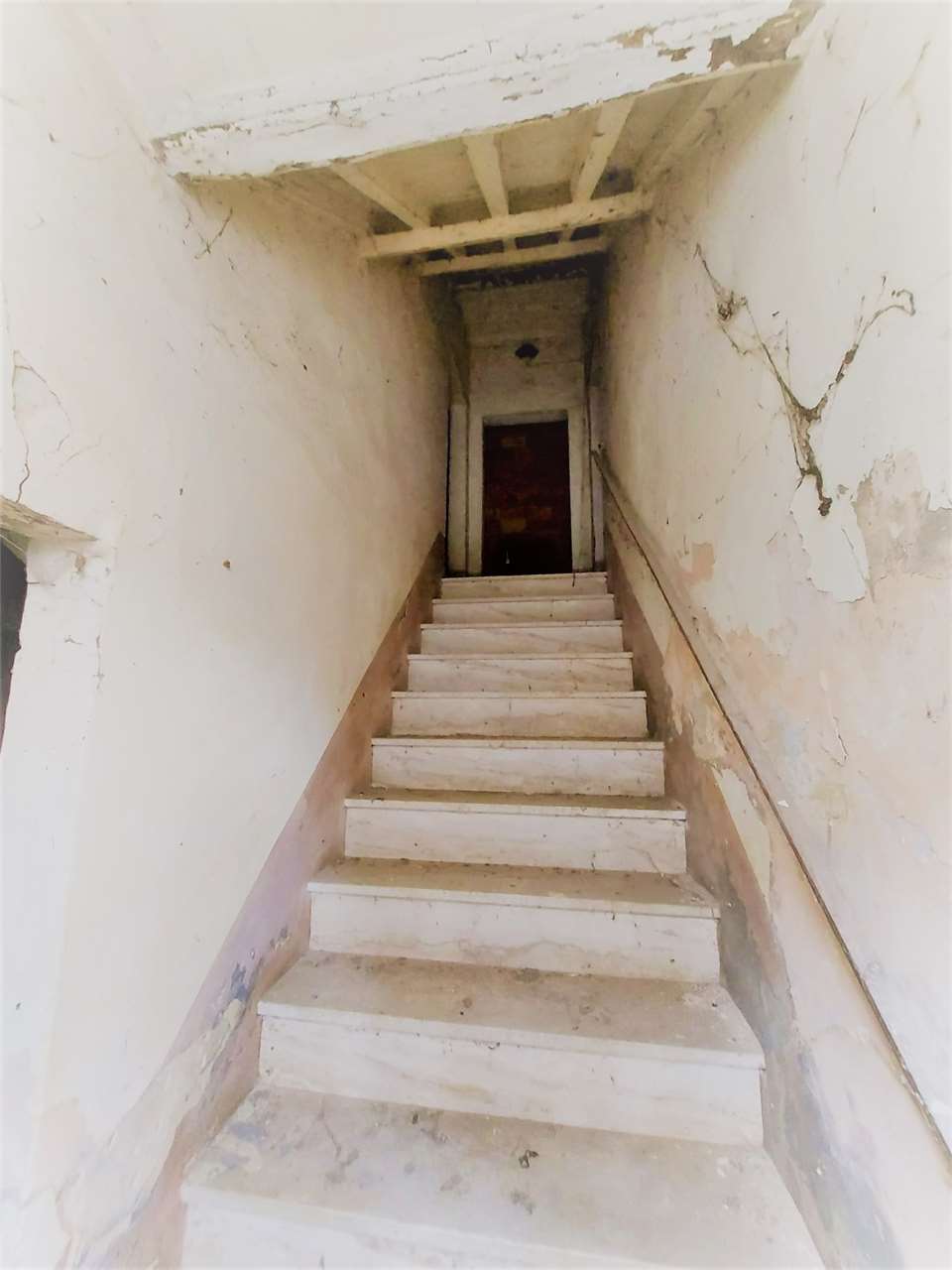 imm_7570-1280
