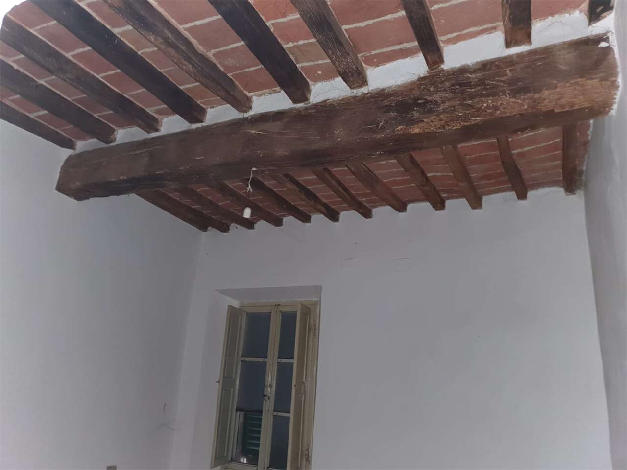 imm_7656-1280-