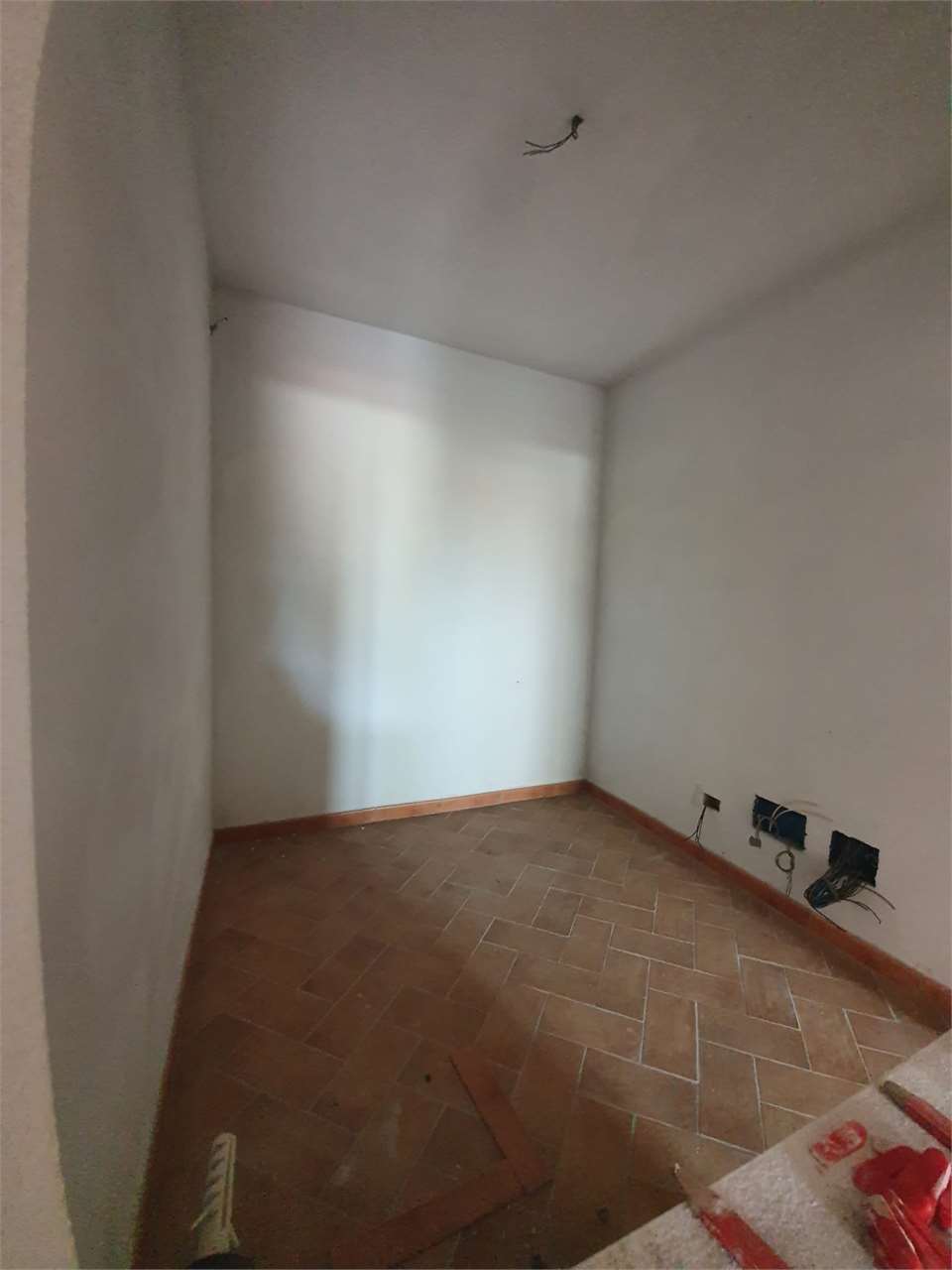 imm_8105-20220606101026-1280