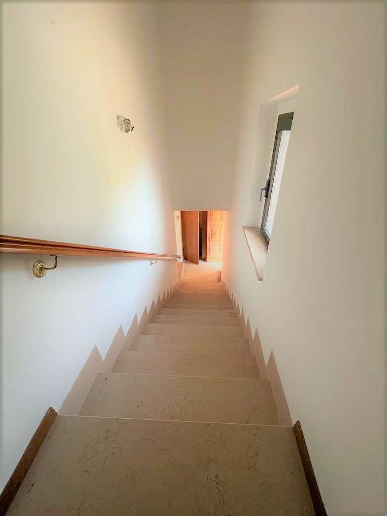 imm_9891-20230703093452-1024