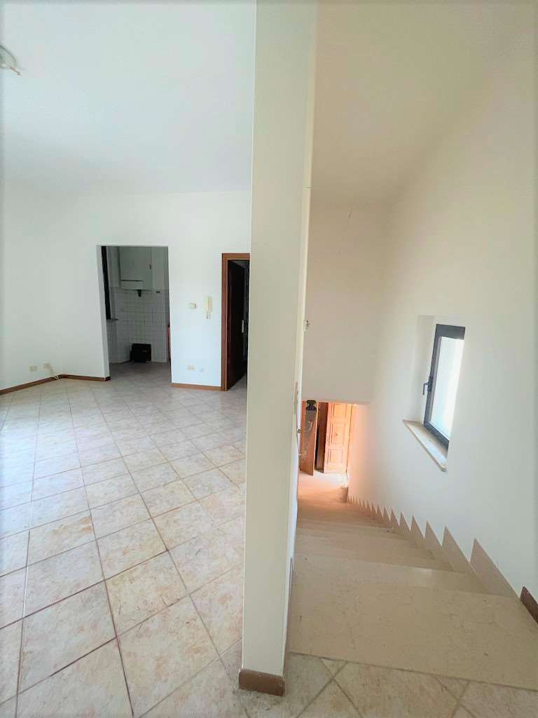 imm_9894-20230703093333-1024