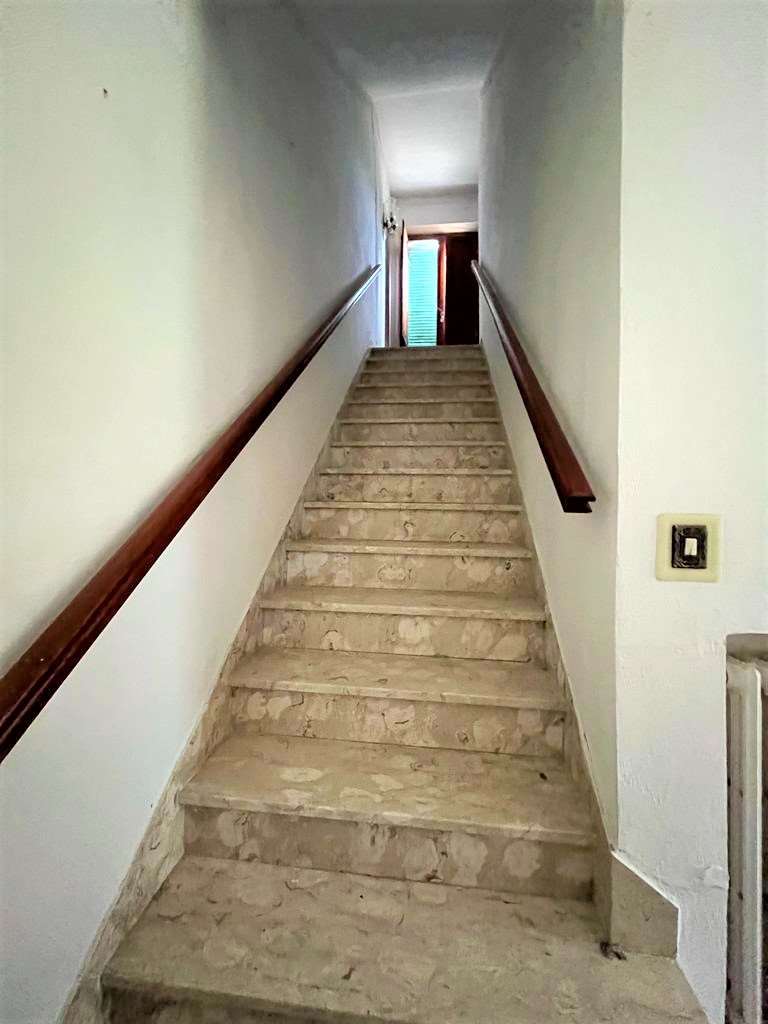 imm_9950-20230704174427-1024