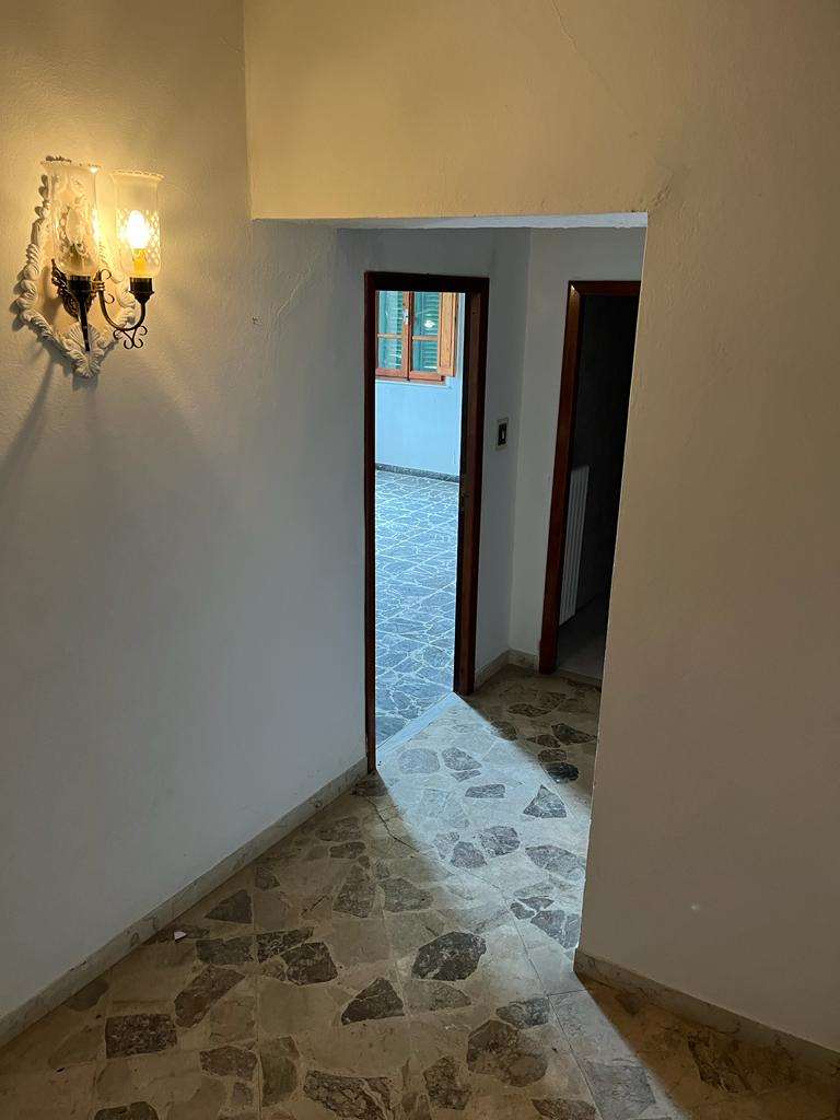 imm_9980-20230704180153-1024