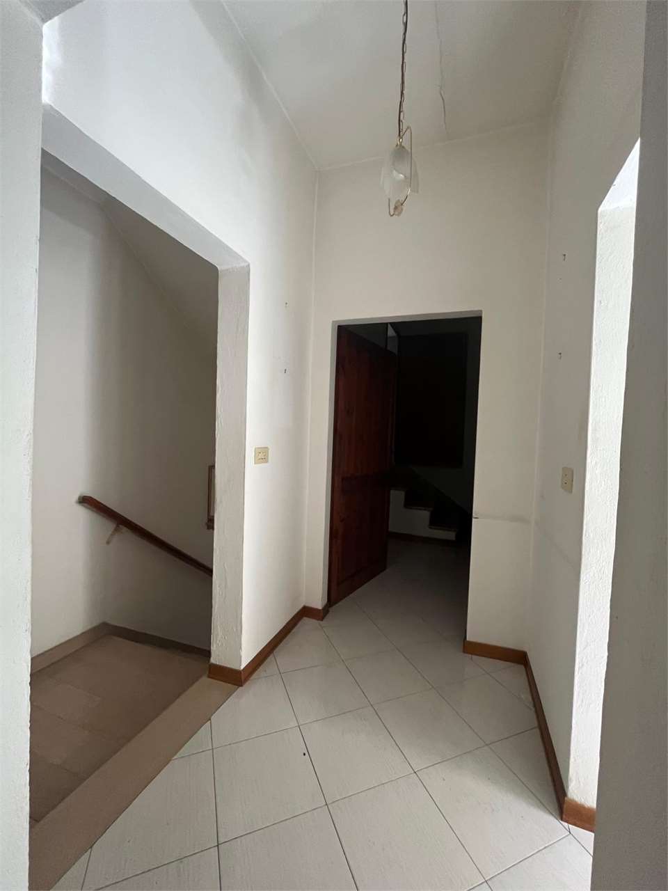 imm_14820-20260309130359-1280